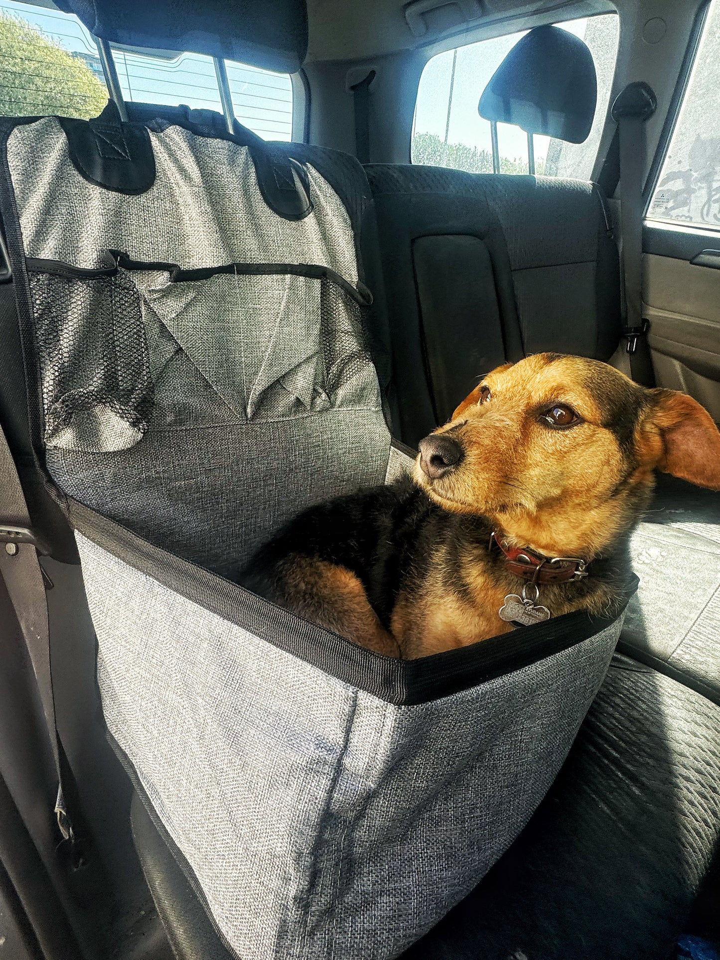 Asiento de coche para perros pequeños