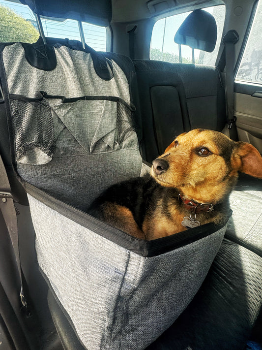 Asiento de coche para perros pequeños